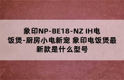 象印NP-BE18-NZ IH电饭煲-厨房小电新宠 象印电饭煲最新款是什么型号